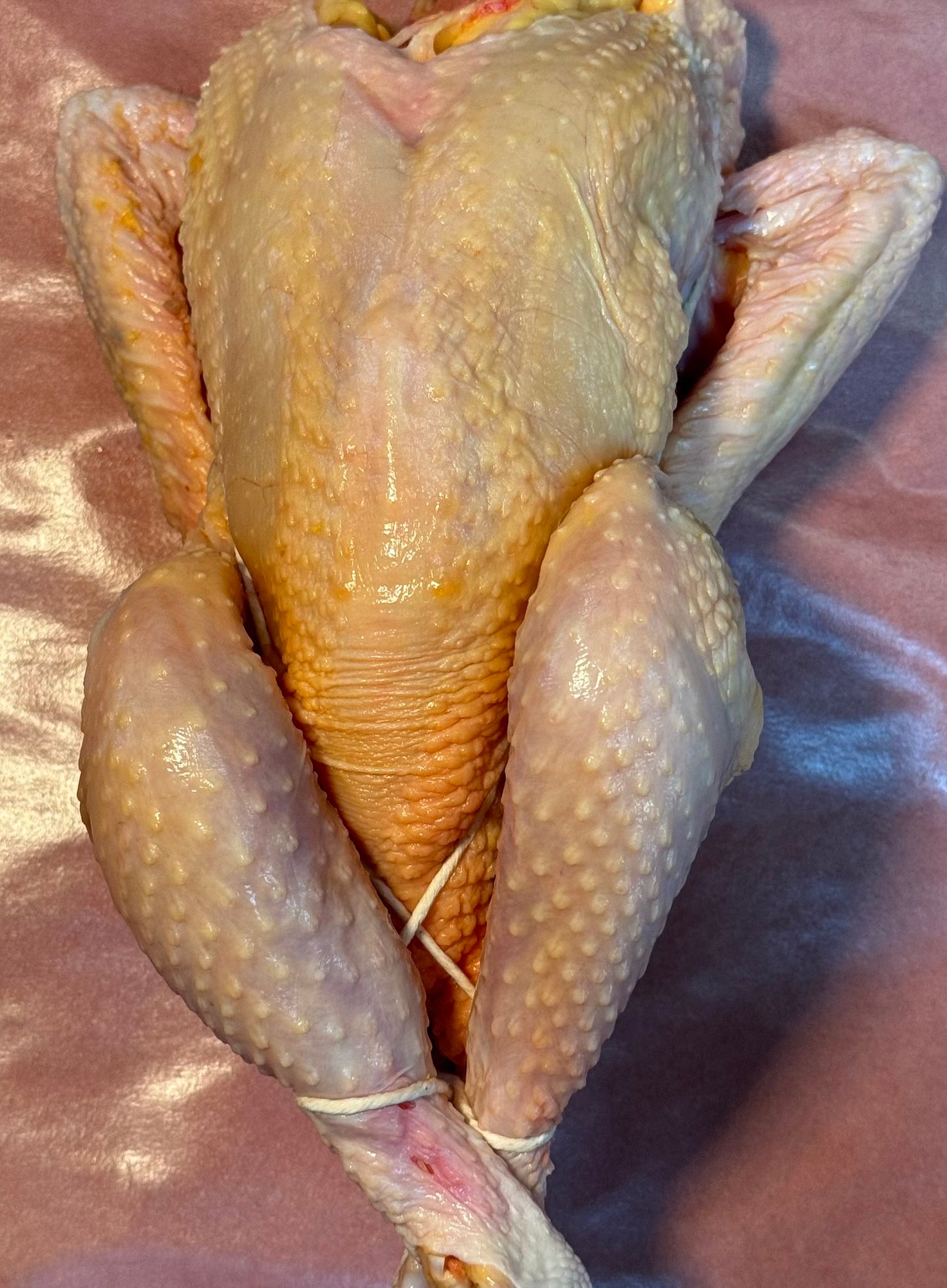 Heritage Breed Chicken