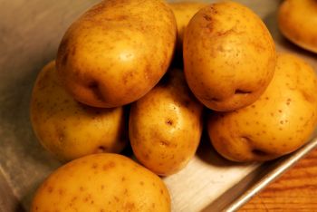 Yukon Gold Potatoes